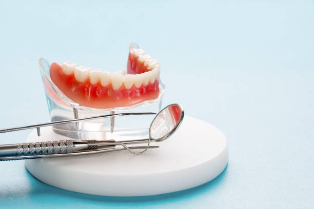  Mayer, MN Holistic Dental Care Services Pros